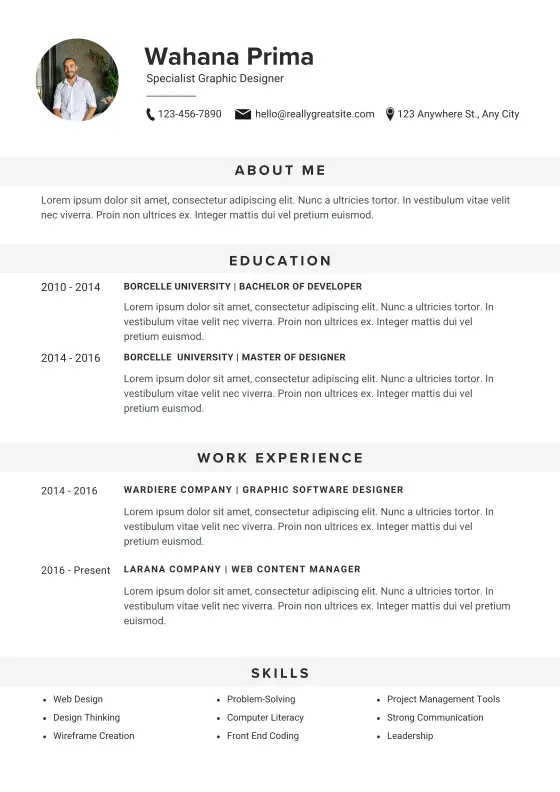 Professional resume template